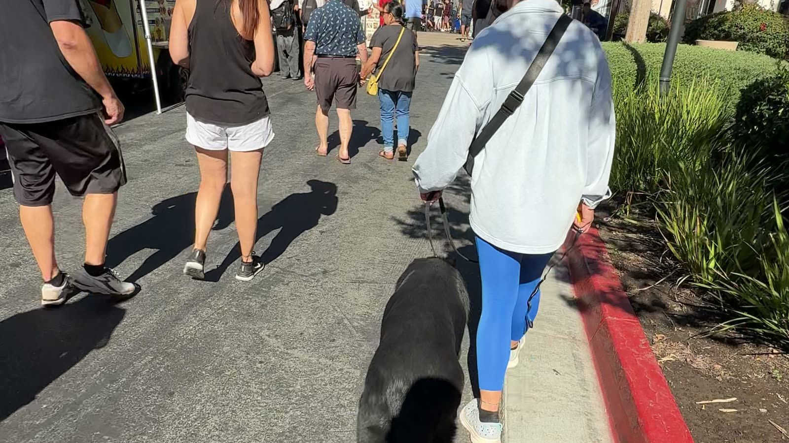 A dog holding a loose leash heel through a busy San Diego street market